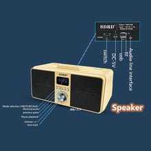 SD-309 Portable 2-in-1 Dual Microphone Singing Bluetooth Speaker Wireless Karaoke Stereo Subwoofer Outdoor 30W SDRD Speaker Set